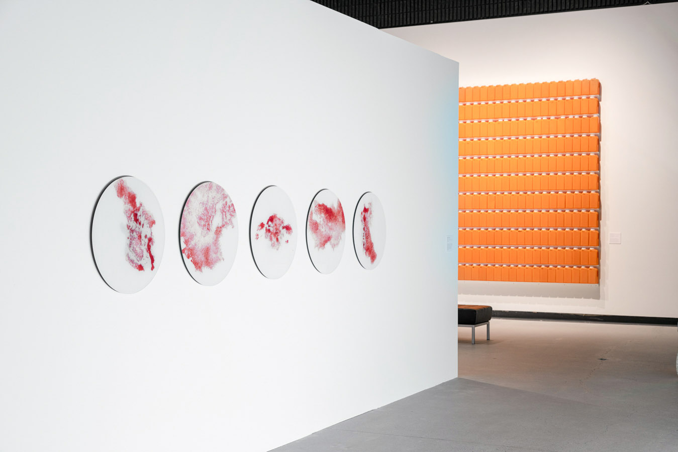 Art Gallery of Burlington (2019)
